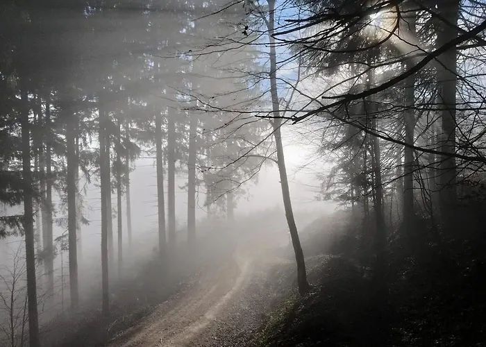 Evi Апартаменты *